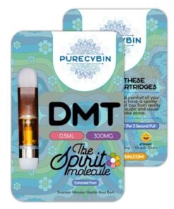 Buy DMT 1ml Purecybin